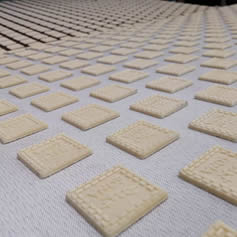 Yumuşak Bisküvi Kalıpları